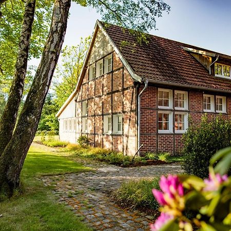 Thuers Im Busch - Gute Stube Plus - Ab 3 Naechte - Ferienwohnungen Mit Stil In Muenster المظهر الخارجي الصورة